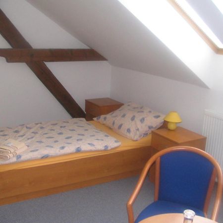 Pension Smetanuv Statek Hradec Kralove Exterior foto
