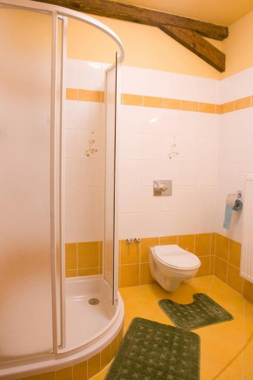Pension Smetanuv Statek Hradec Kralove Exterior foto